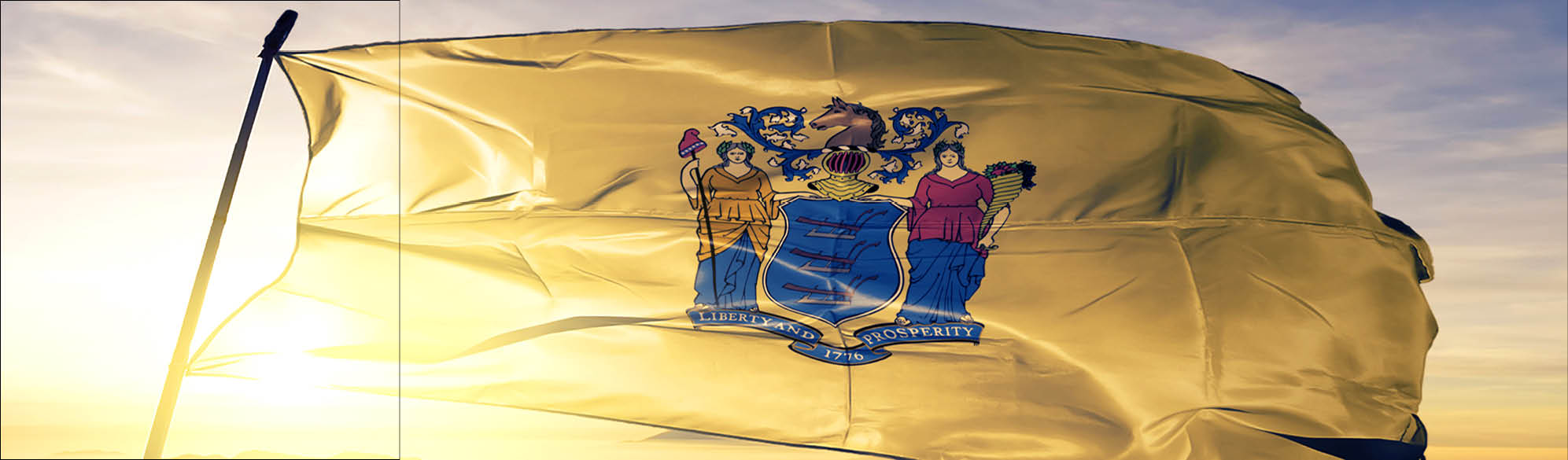 The New Jersey State Flag